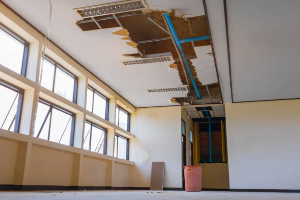 Best Residential water damage restoration  in Palouse, WA