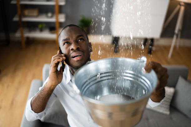 Best Water damage contractors near me  in Palouse, WA