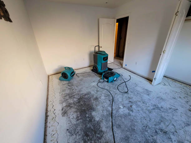 Best 24-hour water damage restoration  in Palouse, WA