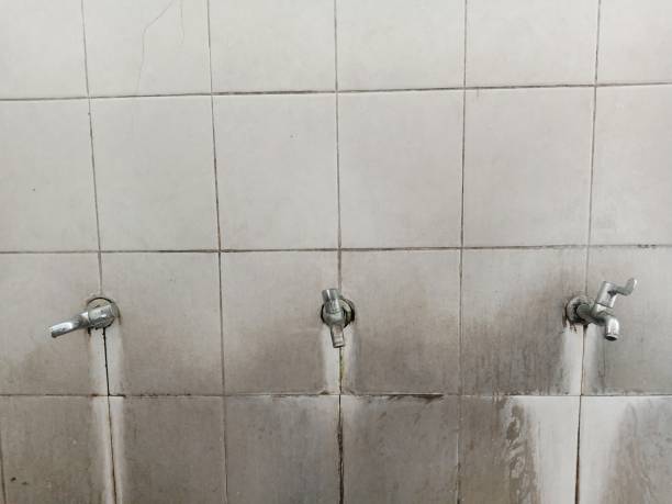 Best Professional water damage repair  in Palouse, WA