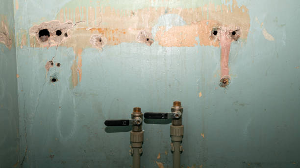 Carpet water damage restoration in WA