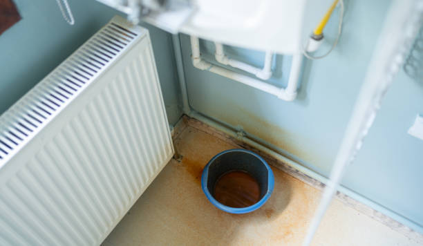 Best Sewage cleanup and water damage restoration  in Palouse, WA