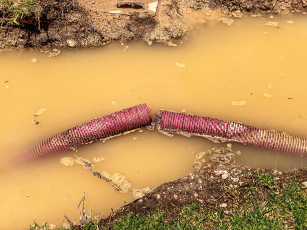 Best Water damage contractors near me  in Palouse, WA