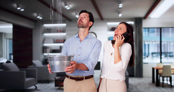 Best Water damage restoration process  in Palouse, WA