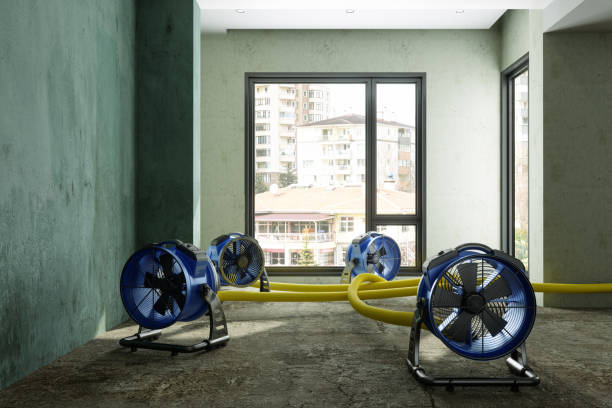 Best 24/7 water damage repair  in Palouse, WA